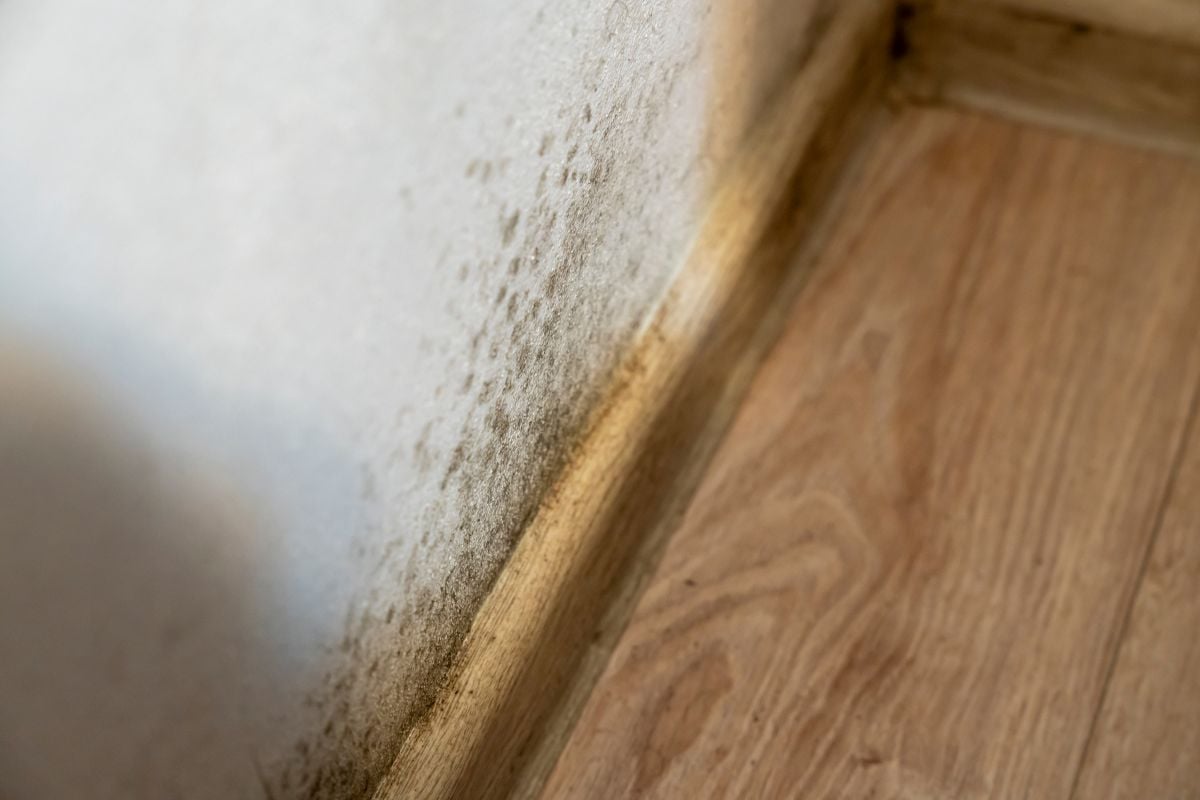 Close-up view of a damp wall corner where moisture has accumulated, revealing discoloration on the surface